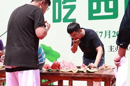 小说吃瓜现场,揭秘小说中的幕后故事