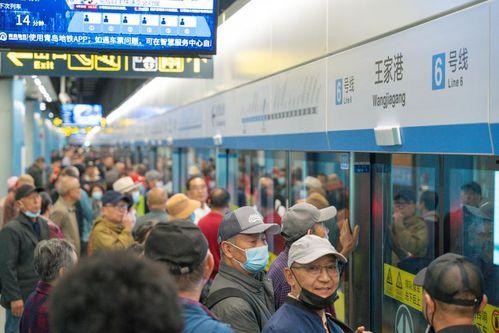 青岛地铁吃瓜墙走红,趣味互动背后的城市文化新风尚