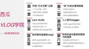 头条vlog有几类认证,揭秘平台认证的几大类别