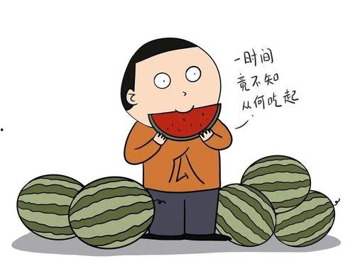 带你吃瓜讲背影,带你走进瓜田，品味人生百态