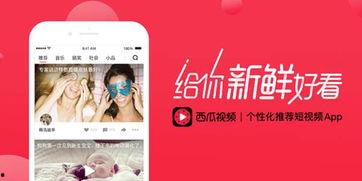 迎候今天你上头条了小说