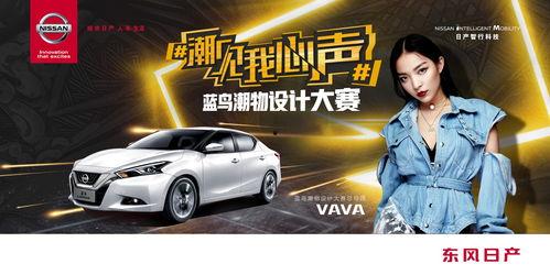 每日蓝鸟大赛,蓝天下的精彩角逐