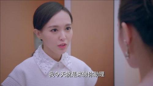 明星和女助理的小说,幕后风云录