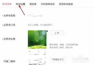 头条号怎么改相片,揭秘高效副标题创作技巧