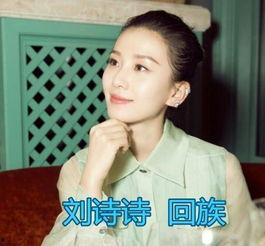 汉族穆斯林明星,探寻汉族穆斯林明星的独特魅力