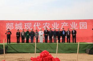 临沂郯城李庄镇新闻头条,聚焦乡村振兴，共绘美好家园新画卷