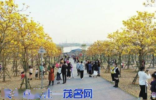 茂名网红打卡点公园,探寻城市绿洲的时尚足迹