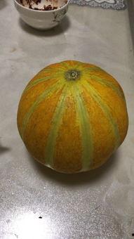 红瓜孕妇可以吃吗