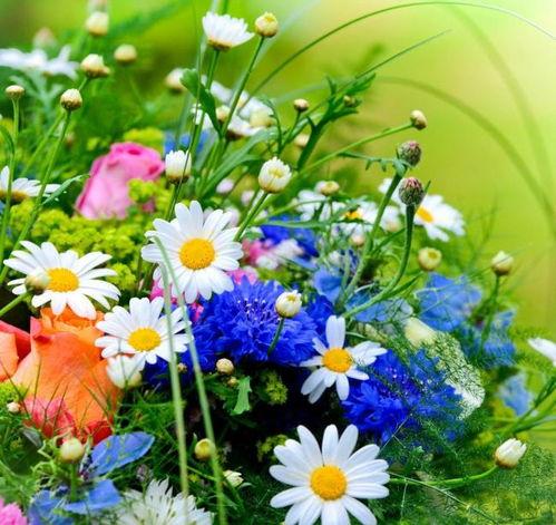 拿音响唱歌的网红跳舞女,网红女生拿音响唱歌热舞风采