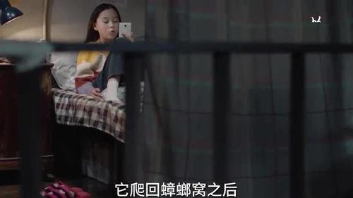 石油小姐姐最新爆料视频