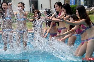 每日大赛坐姿大赛,展现优雅与专注的瞬间