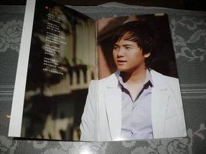 阳江祖籍明星,祖籍阳江的璀璨明星风采