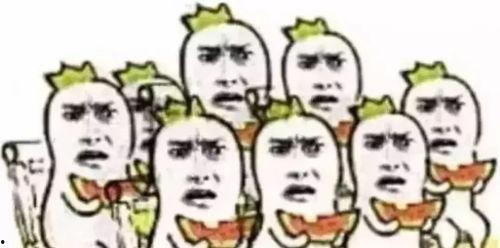 吃瓜群众打分视频教学,趣味教学新方式