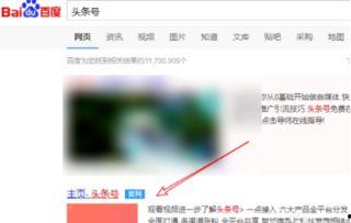 头条小店预估收入