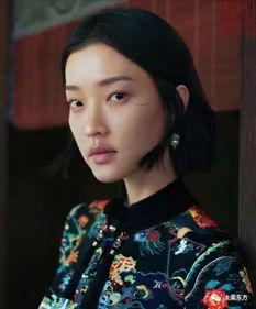 美国明星清流,揭秘明星清流的风采