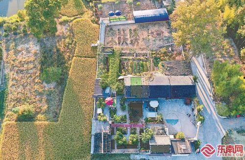 陈坊网红,揭秘网络红人的崛起之路