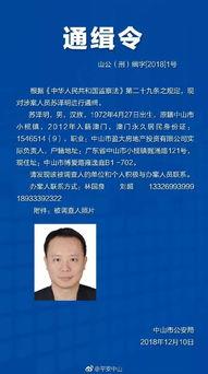 中山头条苏泽明,中山头条背后的故事与影响力揭秘